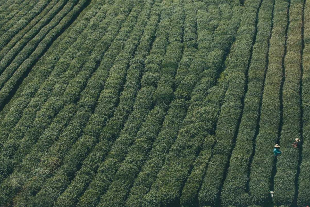 Possimus consectetur est expedita suscipit officiis sequi aut iste