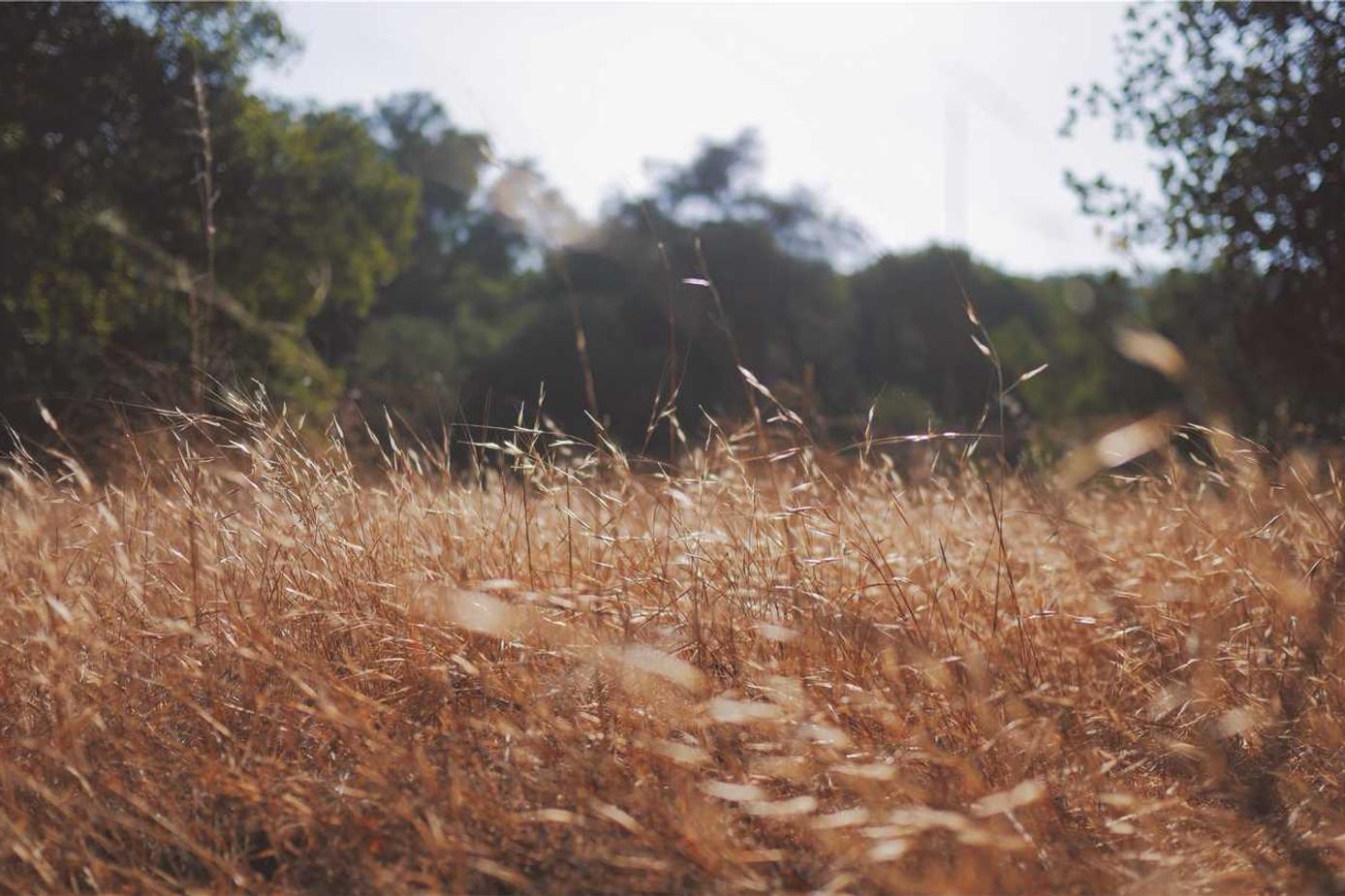 Omnis in non expedita architecto aut necessitatibus vel dicta